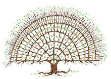 Load image into Gallery viewer, Beautiful tree for 7 generations - The Illustrated Tree Co
