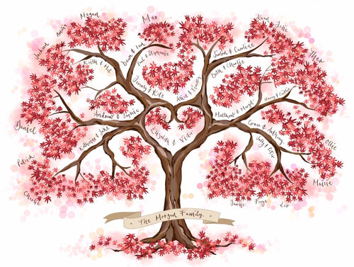 Large family Acer Tree - The Illustrated Tree Co