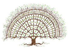 Load image into Gallery viewer, Beautiful tree for 4 generations - The Illustrated Tree Co
