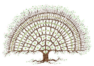 Print at home family tree for 6 generations - The Illustrated Tree Co