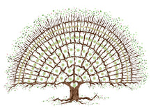 Load image into Gallery viewer, Print at home family tree for 4 generations - The Illustrated Tree Co
