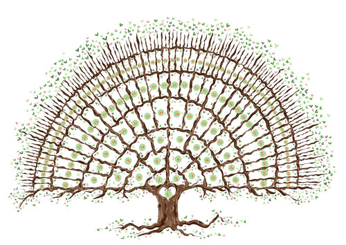 Print at home family tree for 7 generations - The Illustrated Tree Co
