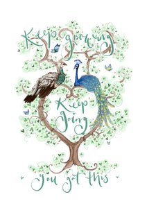Peacocks of positivity - The Illustrated Tree Co