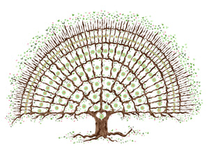 Beautiful tree for 6 generations - A4 print - The Illustrated Tree Co